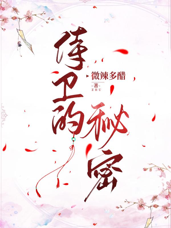 侍卫哥解说恶魔城2